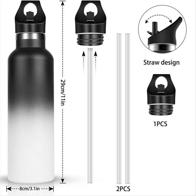 Double Wall Stainless Steel Sport Flask