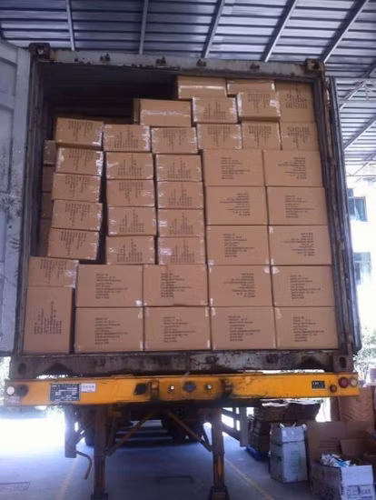 Portauovo sottovuoto in acciaio inossidabile con isolamento termico a forma di U OEM da 12 once
